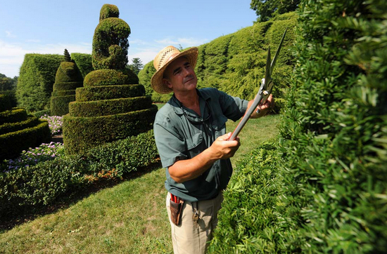 Послуги садівника в Києві: як створити та зберегти ідеальний сад з Green Doctor
